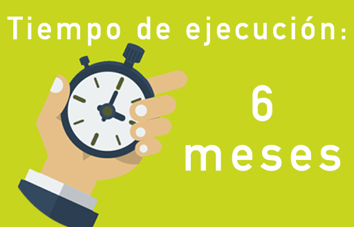 Tiempo de ejecución: 6 meses